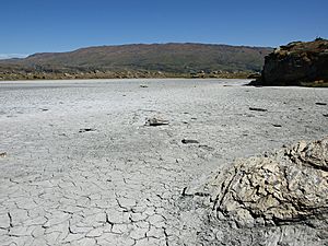 Sutton Salt Lake