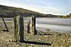 The River Lynher at low tide - geograph.org.uk - 1049579.jpg