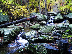 WhiteoakCanyonShenandoahNP