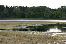 Wirth Lake, Golden Valley, Minnesota.jpg