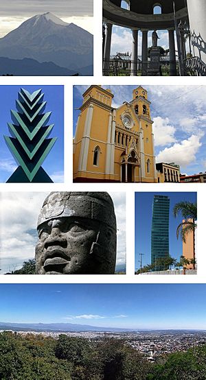 Clockwise, from upper left: Pico de Orizaba, General Juan de la Luz Enríquez Lara tomb, Xalapa Cathedral, Centro Mayor Tower, panoramic view from the Macuiltepetl's Mountain, Olmec colossal head from Museo de Antropología de Xalapa,  Araucaria sculpture.