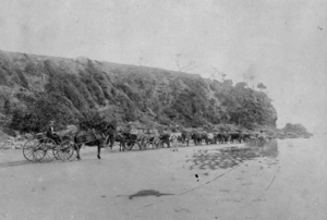 Yeppoon-bluff1887-bullockteam