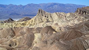 Zabriskie Manly Beacon 031013