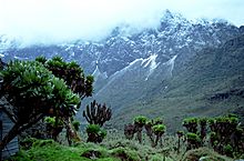 1172 ruwenzori