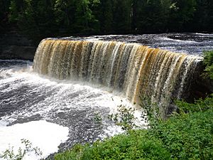 2009-0618-TahquamenonFalls.jpg