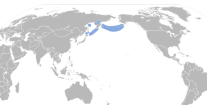 Aethia pygmaea map.svg