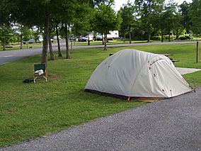 Bayou Segnette State Park.jpg