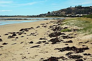 Beach-Somerset-Tasmania-20070423-004