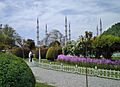 Blue mosque2