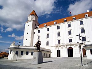 Bratislava Castle 2010