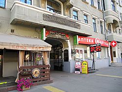 Bulgakov House Moscow (3)