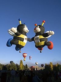 Canberra Balloon Fiesta 2006.jpg