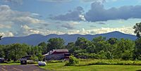 Catskill Escarpment from Greenville, NY