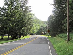 Charleston Springs as seen from Stage Coach Road (CR 524) approaching Ely Harmony Road