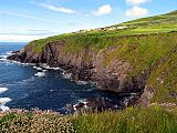 A small sea bay bordered by steep cliffs, which are topped with wild grass. On the opposite side of the bay are some green pastures surrounded by dry stone walls, and a collection of small, brightly coloured houses.