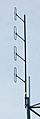 Collinear folded dipole antenna array