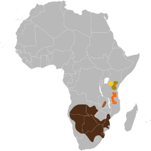 Connochaetes taurinus map.svg