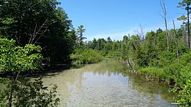 Cut River (Roscommon County, Michigan).jpg