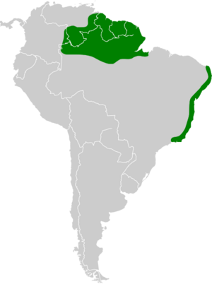 Map of South America with northern Brazil, French Guiana, Guyana, Suriname, southern Venezuela, and the eastern tip of Brazil highlighted in green