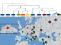 Europe Y semino