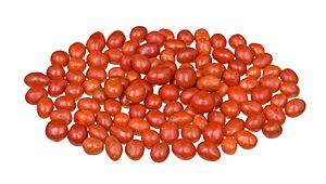 Ferrara-Pan-Boston-Baked-Beans