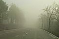 Fog near Baden, Austria