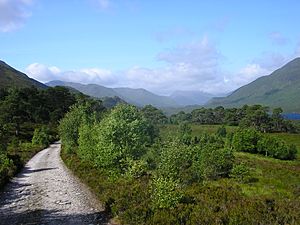 Glen affric loch affric