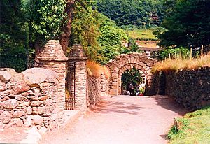 Glendalough, Lower Valley 6