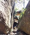 Gosfordpetroglyphs