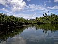 Indian River (Dominica)