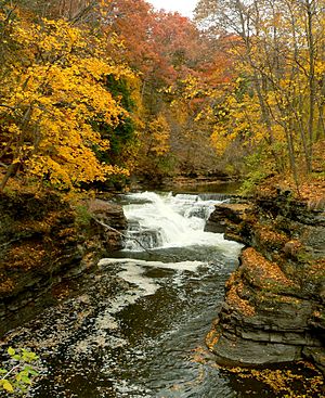 Ithaca Hemlock Gorge