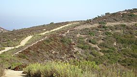 Laguna Coast Wilderness Park.jpg