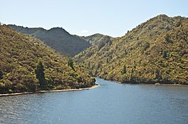 Lake Rotorangi, Taranaki, New Zealand, 5 March 2010.jpg