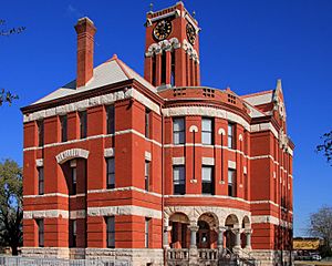 Lee county texas courthouse 2014