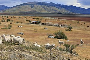 Los Animales en la Estancia (5451915873)