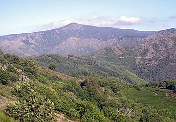 East face of Mont Aigoua