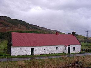 Morlanich Longhouse 2004