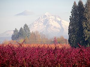 Mt. Hood, Oregon, Clackamas County