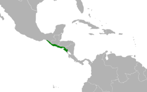Ortalis leucogastra map.svg
