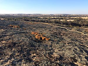 Puntapin Rock facing west 01