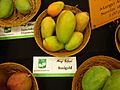 Rosigold mango.JPG