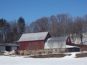 SaukCountyWisconsinBarn.03.2007