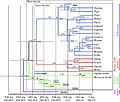 Semitic languages genealogy