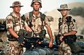 Stinger Crew Operation Desert Shield