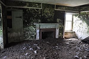 Stroma house interior