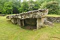 Tinkinswood burial chamber (4787)