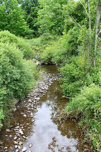 Trout Brook 1.jpg