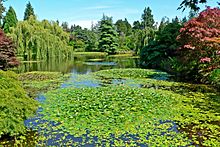 VanDusen Botanical Garden 3