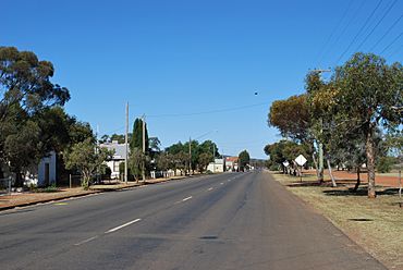 Weethalle Mid-Western Highway 003.JPG