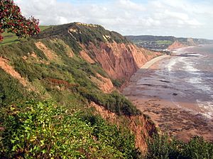 2010-10-07 peak hill sidmouth.jpg